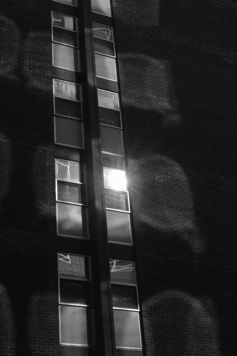 "This Is Mind-Blowing": AI Is Automating Sales Coaching