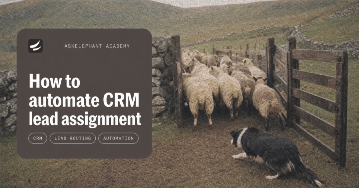 Sheepdog guiding a flock through a gate to illustrate automatic CRM lead assignment and routing